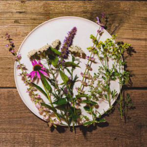 Detox Fasten Wandern Workshop