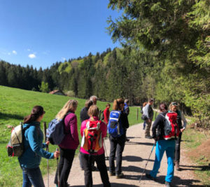 Gruppe beim Wandern