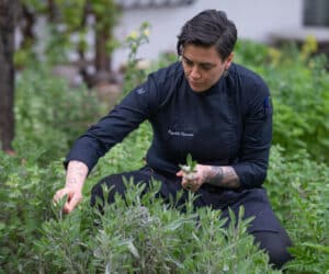 Chef LA VIMEA